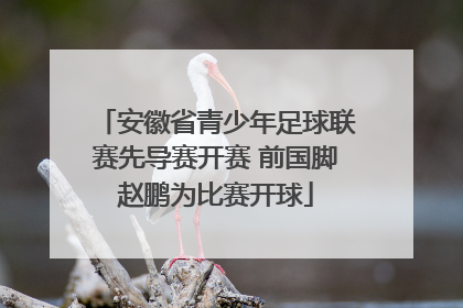 安徽省青少年足球联赛先导赛开赛 前国脚赵鹏为比赛开球