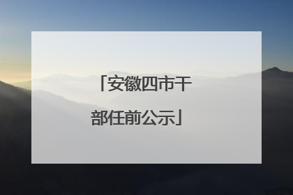 安徽四市干部任前公示