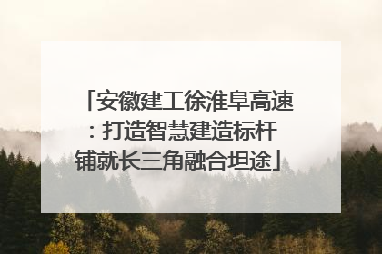 安徽建工徐淮阜高速：打造智慧建造标杆 铺就长三角融合坦途