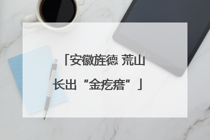 安徽旌德 荒山长出“金疙瘩”
