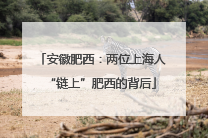 安徽肥西：两位上海人“链上”肥西的背后