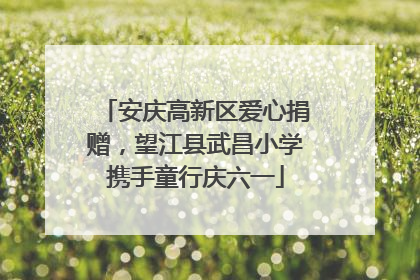 安庆高新区爱心捐赠，望江县武昌小学携手童行庆六一