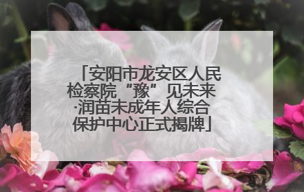 安阳市龙安区人民检察院“豫”见未来·润苗未成年人综合保护中心正式揭牌
