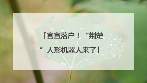 官宣落户！“荆楚”人形机器人来了