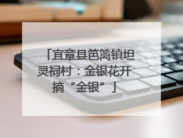 宜章县笆篱镇坦灵祠村：金银花开摘“金银”