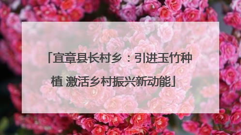 宜章县长村乡：引进玉竹种植 激活乡村振兴新动能