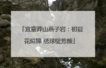 宜章莽山燕子岩：初夏花似锦 绣球绽芳颜