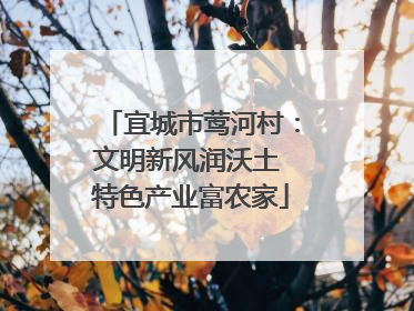 宜城市莺河村：文明新风润沃土 特色产业富农家