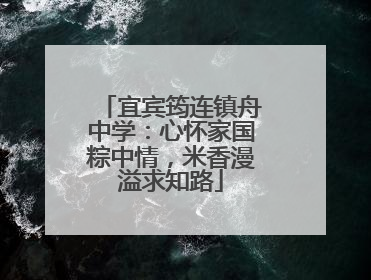 宜宾筠连镇舟中学：心怀家国粽中情，米香漫溢求知路