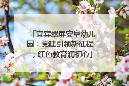 宜宾翠屏安阜幼儿园：党建引领新征程，红色教育润初心