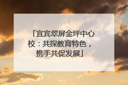 宜宾翠屏金坪中心校：共探教育特色，携手共促发展