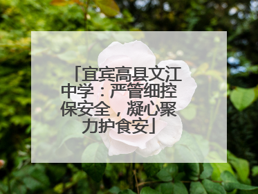 宜宾高县文江中学：严管细控保安全，凝心聚力护食安