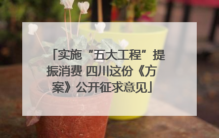 实施“五大工程”提振消费 四川这份《方案》公开征求意见