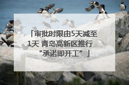 审批时限由5天减至1天 青岛高新区推行“承诺即开工”