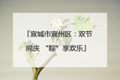 宣城市宣州区：双节同庆 “粽”享欢乐