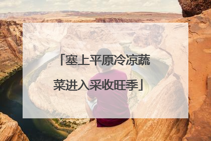 塞上平原冷凉蔬菜进入采收旺季