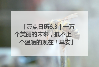 壹点日历6.3｜一万个美丽的未来，抵不上一个温暖的现在！早安
