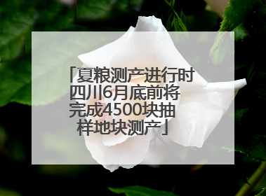 夏粮测产进行时 四川6月底前将完成4500块抽样地块测产