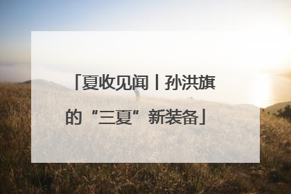 夏收见闻丨孙洪旗的“三夏”新装备