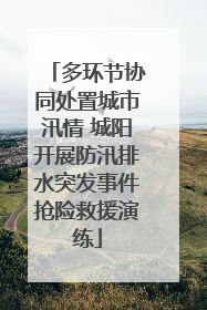 多环节协同处置城市汛情 城阳开展防汛排水突发事件抢险救援演练