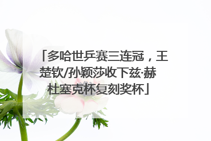 多哈世乒赛三连冠，王楚钦/孙颖莎收下兹·赫杜塞克杯复刻奖杯