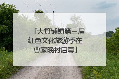 大箕铺镇第三届红色文化旅游季在曹家晚村启幕