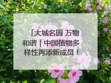 大城名园 万物和谐｜中国植物多样性再添新成员！它只在西藏墨脱
