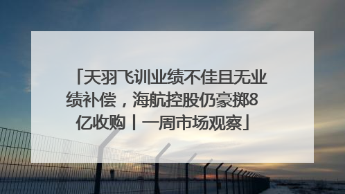 天羽飞训业绩不佳且无业绩补偿，海航控股仍豪掷8亿收购丨一周市场观察