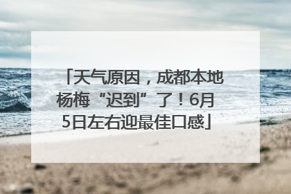 天气原因，成都本地杨梅“迟到”了！6月5日左右迎最佳口感