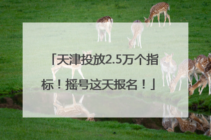 天津投放2.5万个指标！摇号这天报名！