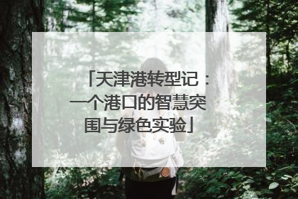 天津港转型记：一个港口的智慧突围与绿色实验