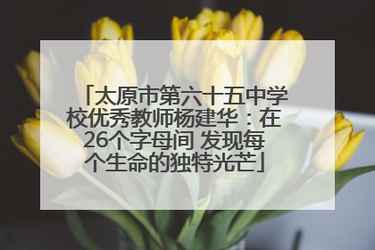 太原市第六十五中学校优秀教师杨建华：在26个字母间 发现每个生命的独特光芒
