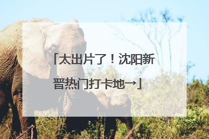 太出片了！沈阳新晋热门打卡地→