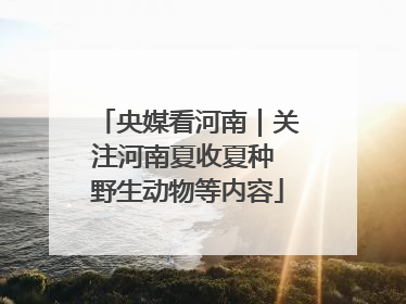 央媒看河南｜关注河南夏收夏种 野生动物等内容