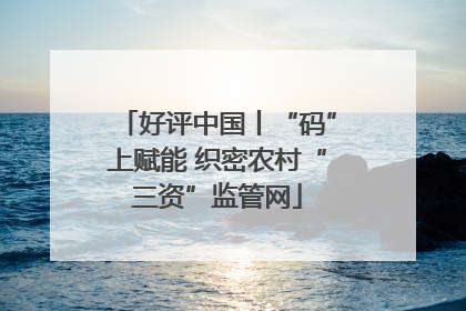 好评中国丨“码”上赋能 织密农村“三资”监管网