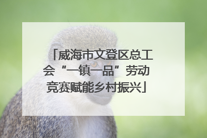 威海市文登区总工会“一镇一品”劳动竞赛赋能乡村振兴