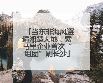 当东非海风邂逅湘楚大地，索马里企业首次“组团”刷长沙