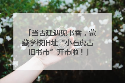 当古建遇见书香，蒙藏学校旧址“小石虎古旧书市”开市啦！