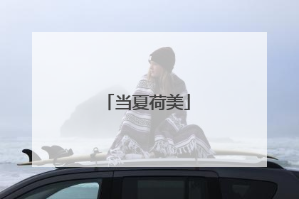 当夏荷美