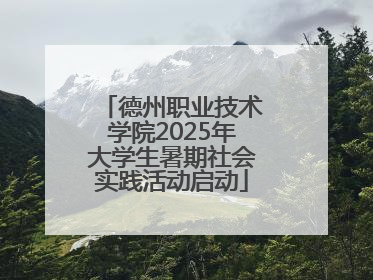 德州职业技术学院2025年大学生暑期社会实践活动启动