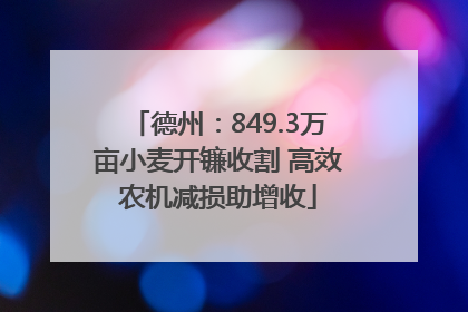 德州：849.3万亩小麦开镰收割 高效农机减损助增收
