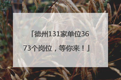 德州131家单位3673个岗位，等你来！