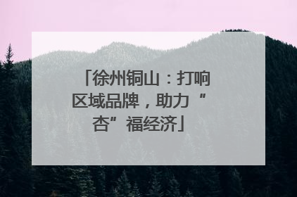 徐州铜山：打响区域品牌，助力“杏”福经济