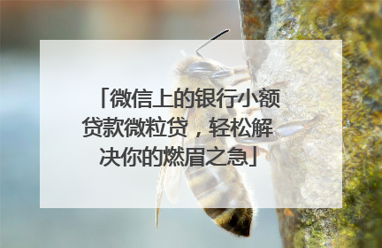 微信上的银行小额贷款微粒贷，轻松解决你的燃眉之急