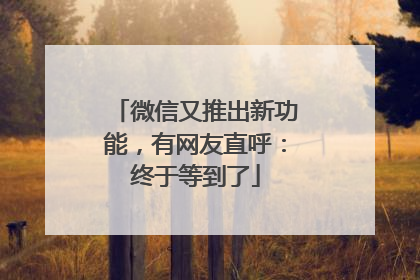 微信又推出新功能，有网友直呼：终于等到了