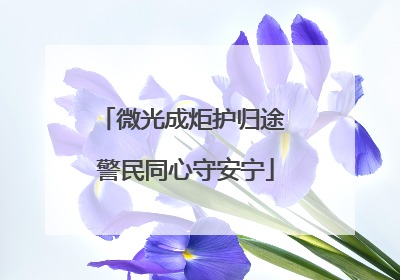 微光成炬护归途 警民同心守安宁
