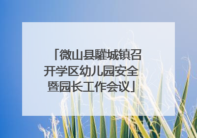 微山县驩城镇召开学区幼儿园安全暨园长工作会议
