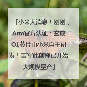 小米大消息！刚刚，Arm官方认证：玄戒O1芯片由小米自主研发！雷军此前称已开始大规模量产