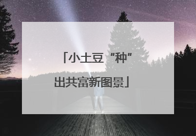 小土豆“种”出共富新图景