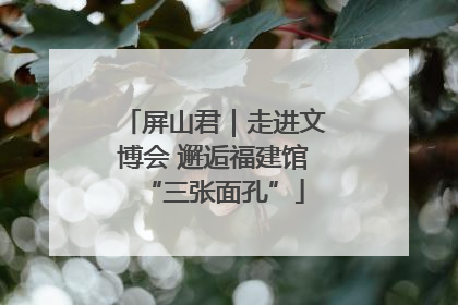 屏山君｜走进文博会 邂逅福建馆“三张面孔”